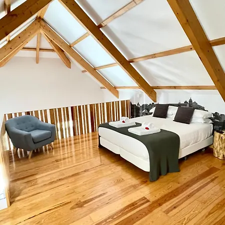 1118 Lofts Apartment Porto